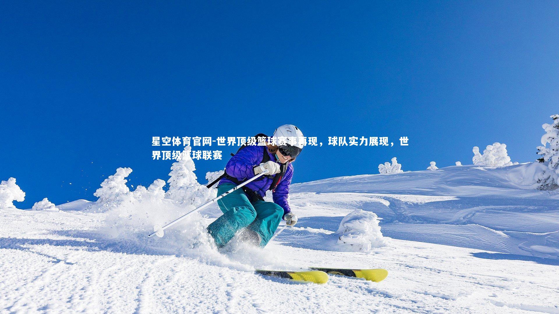 世界顶级篮球赛事再现，球队实力展现，世界顶级篮球联赛