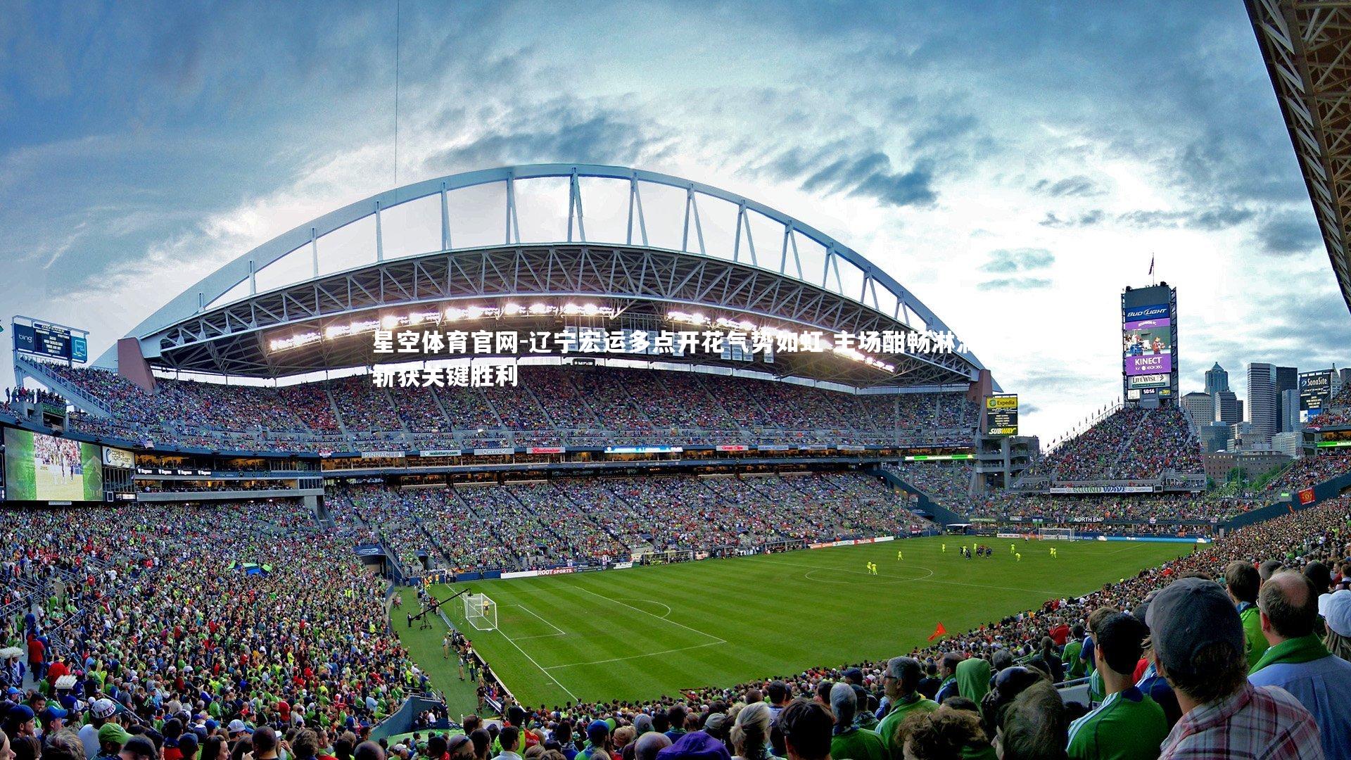 辽宁宏运多点开花气势如虹 主场酣畅淋漓斩获关键胜利